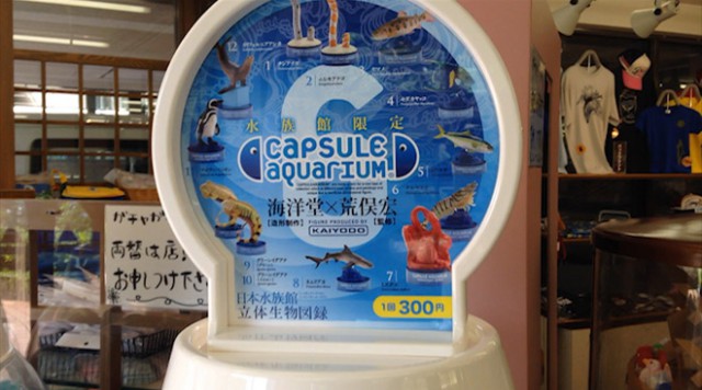 日本水族館 立体生物図録⑥カプセルアクアリウム】ブリじゃない