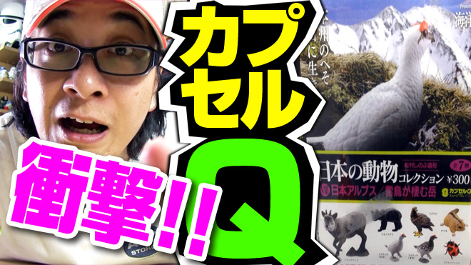 【日本の動物コレクション⑦日本アルプス/雷鳥が棲む岳】衝撃！マジでショック！【3回目】海洋堂カプセルQミュージアム